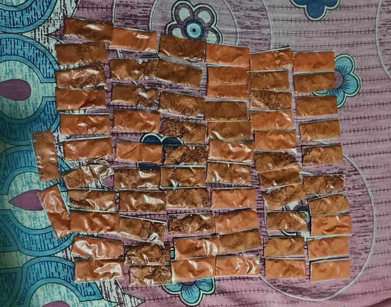 494356483 1193043055651030 7845760158784368637 n