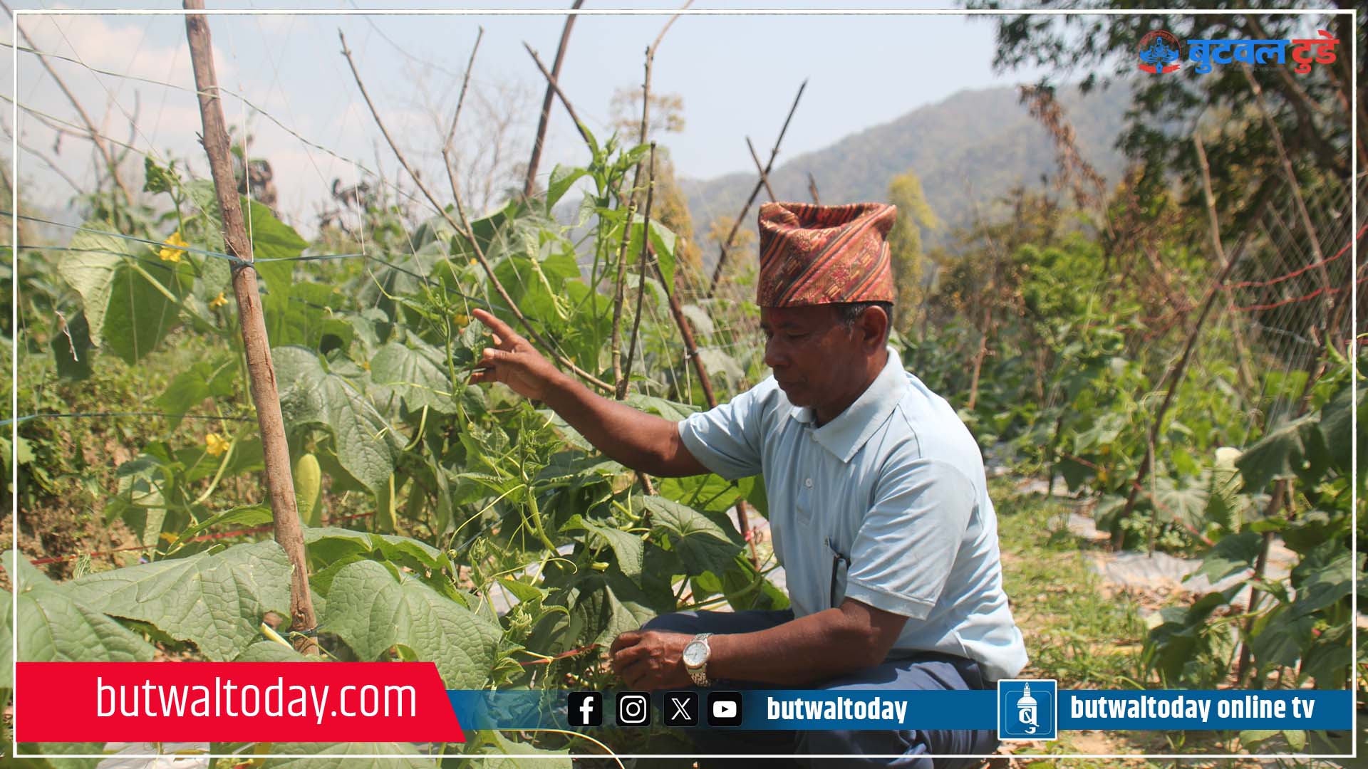 बाटे गाउँमा कृषिले फेरिएको दैनिकी 